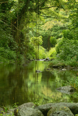 Waipio Valley, Big Island Hawaii