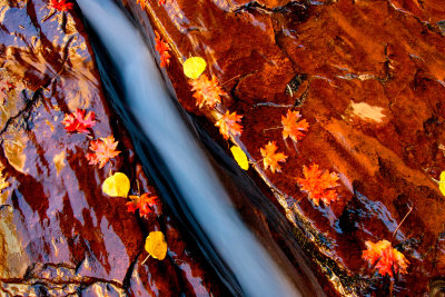 Zion National Park