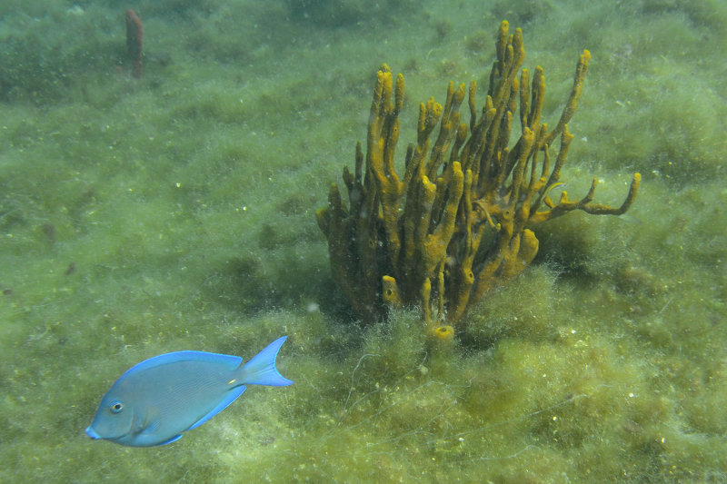 20131117 - Tortola BVI - 153.jpg