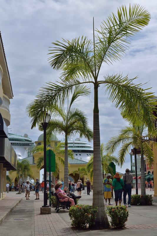 20131119 - St Kitts - 123.jpg