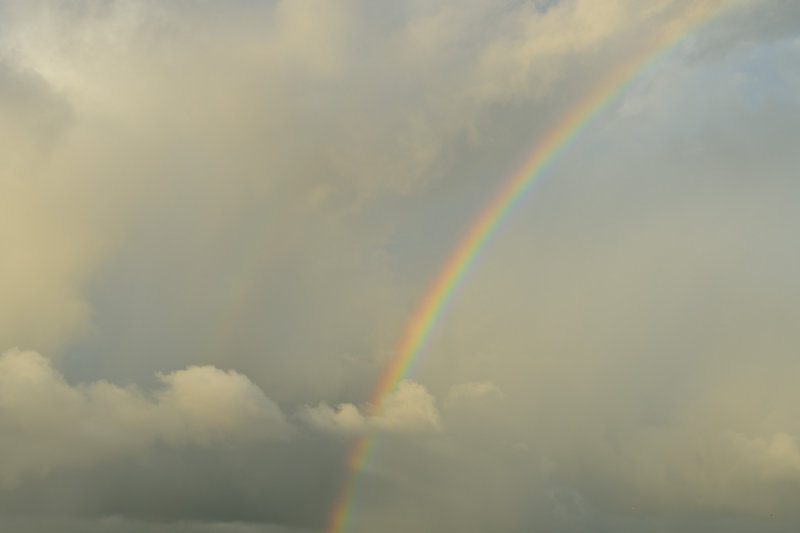 20131121 - Barbados - 166.jpg