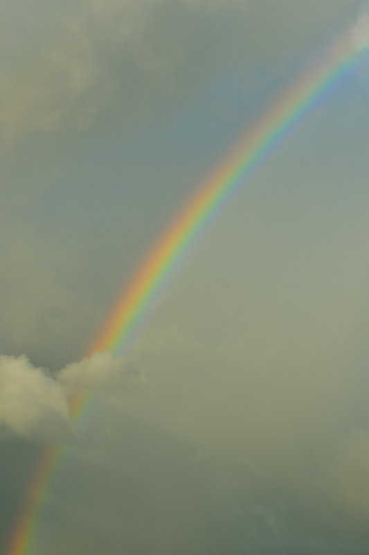 20131121 - Barbados - 168.jpg