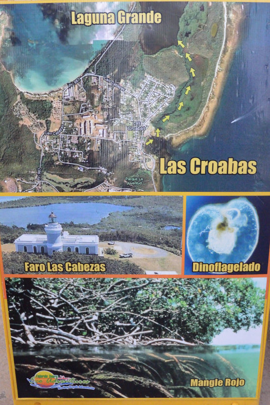 20131123 - San Juan PR - 290.jpg