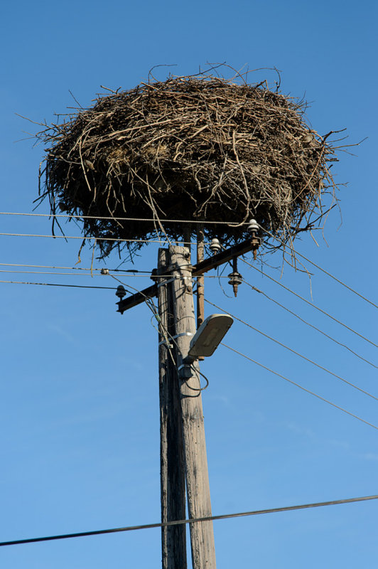 20140924 - Mohacs - 0159.jpg