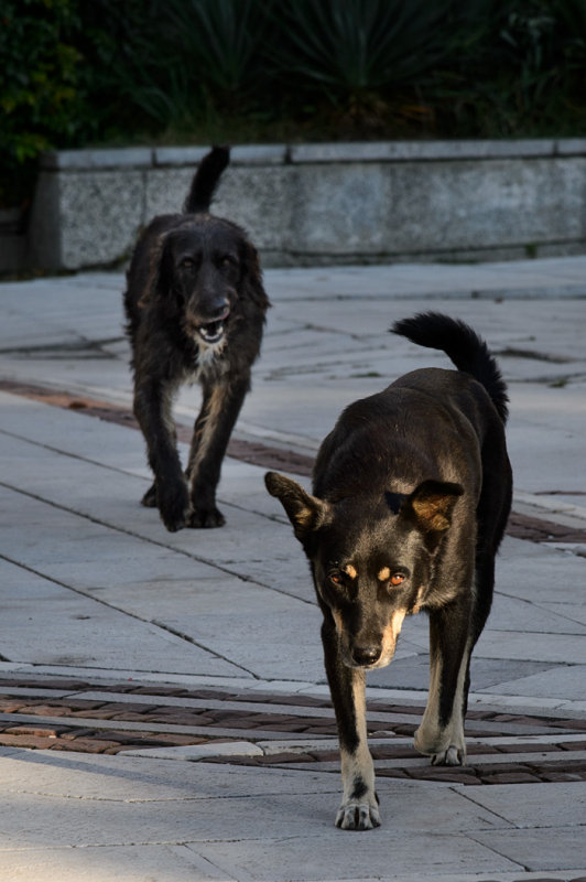 20140928 - Vindin - 0051.jpg