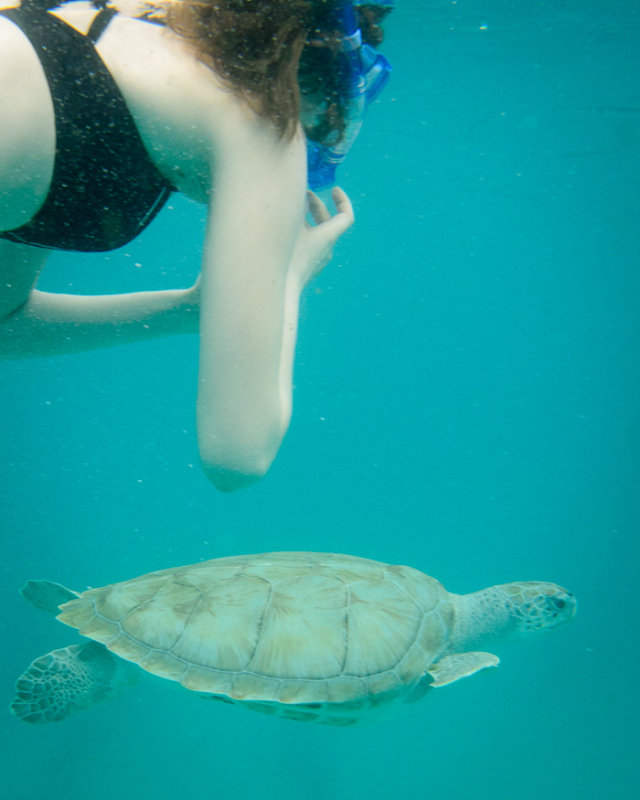 20150421 - Barbados - 0032.jpg
