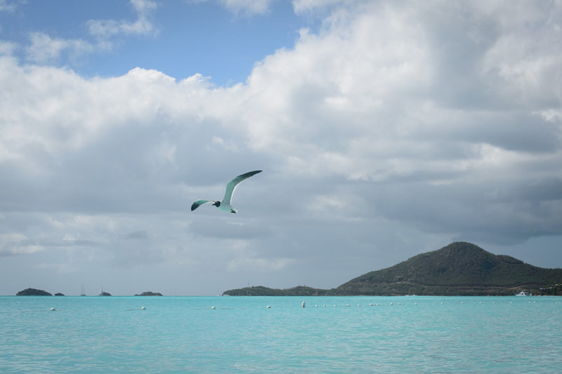 20150423 - Antigua - 0372.jpg