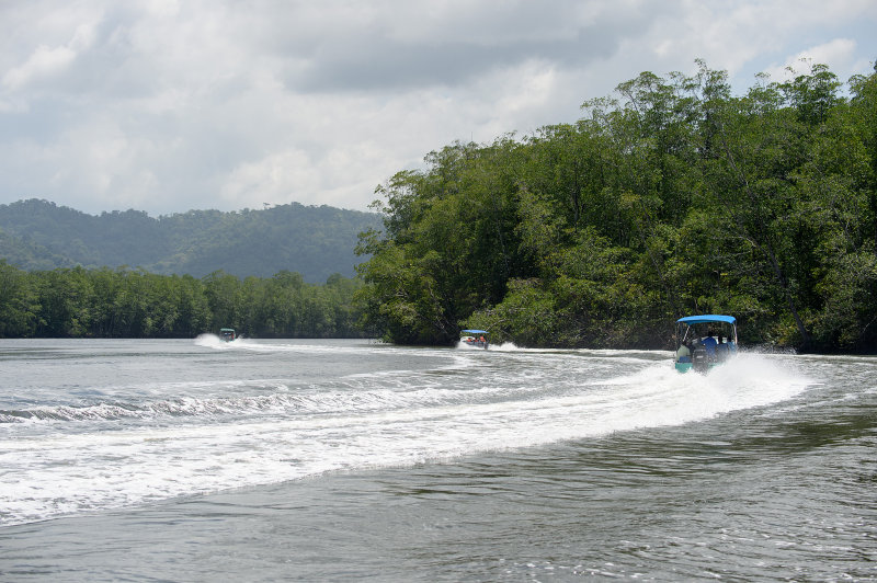 20160216 - Costa Rica (Transfer to La Paloma) - 105.jpg