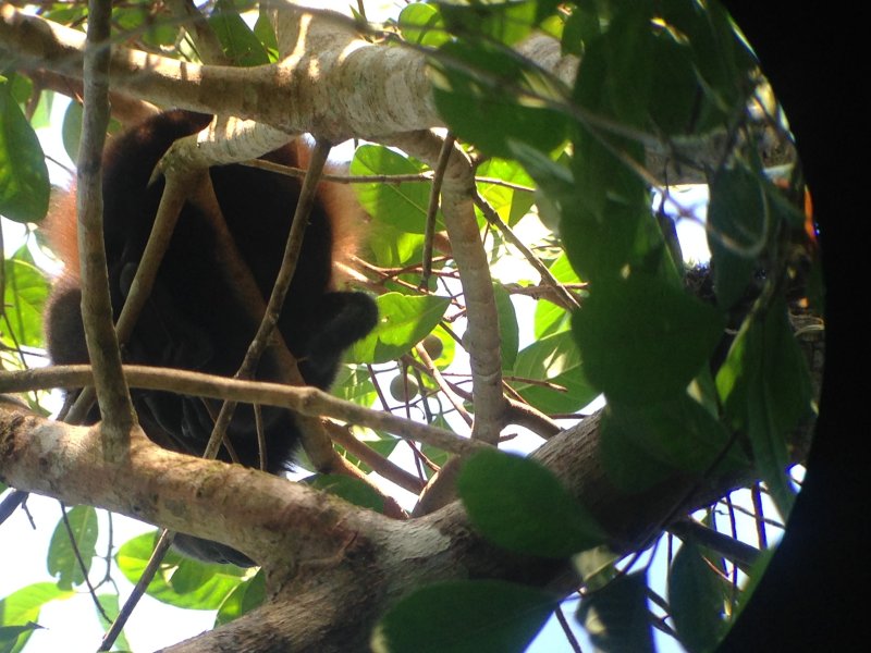 20160217 - Azamara Cruise & Costa Rica [Kathy] - 116.JPG