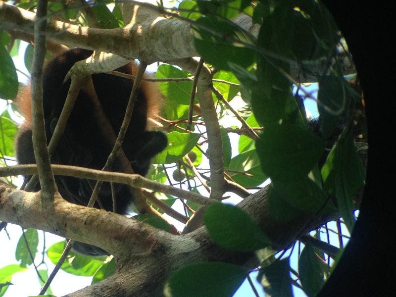 20160217 - Azamara Cruise & Costa Rica [Kathy] - 117.JPG