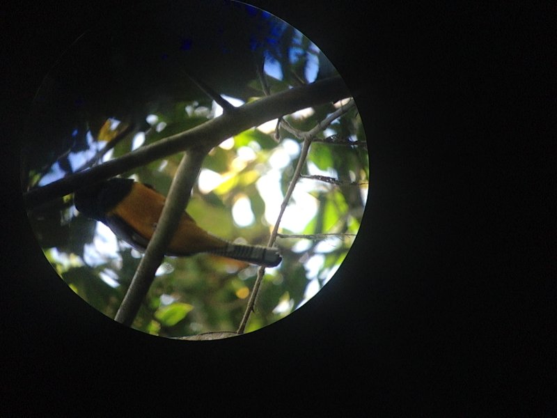 20160217 - Azamara Cruise & Costa Rica [Kathy] - 118.JPG