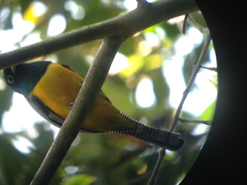 20160217 - Azamara Cruise & Costa Rica [Kathy] - 120.JPG