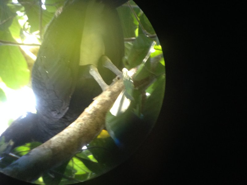 20160217 - Azamara Cruise & Costa Rica [Kathy] - 125.JPG