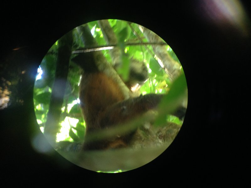 20160217 - Azamara Cruise & Costa Rica [Kathy] - 128.JPG