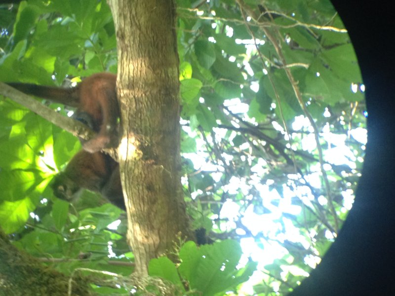 20160217 - Azamara Cruise & Costa Rica [Kathy] - 142.JPG
