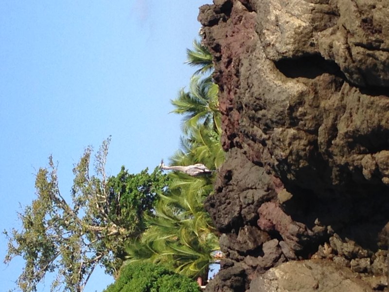 20160220 - Azamara Cruise & Costa Rica [Kathy] - 165.JPG