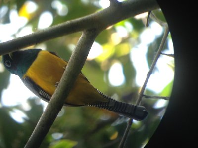 20160217 - Azamara Cruise & Costa Rica [Kathy] - 120.JPG