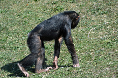 DSC_7089.JPG