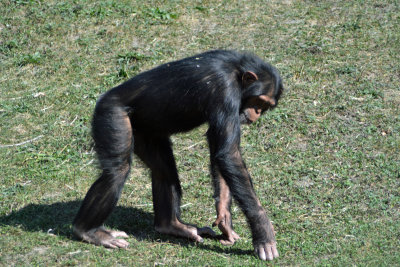 DSC_7091.JPG