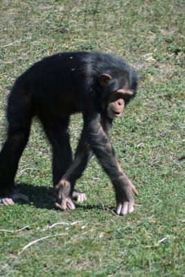 DSC_7093.JPG
