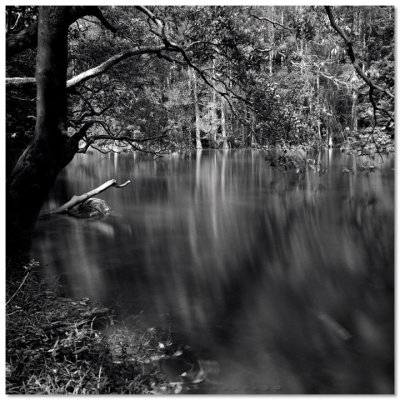 Shing Mun Reservoir - 城門水塘