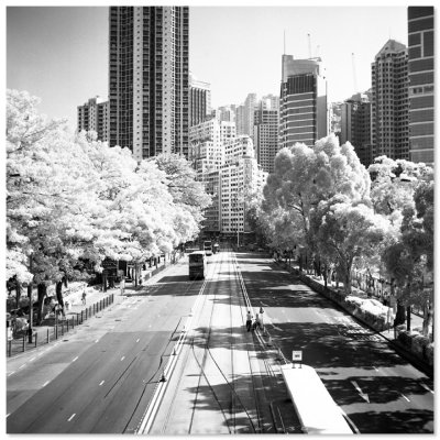 Victoria Park - 維多利亞公園
