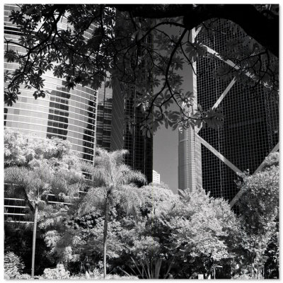 Hong Kong Park - 香港公園