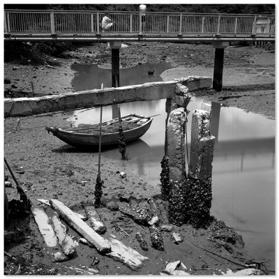 Ma Wan Chung, Tung Chung - 東涌馬灣涌