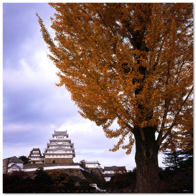 Himeji Castle - 姫路城