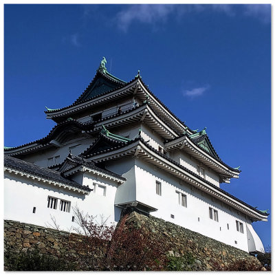 Wakayama Castle - 和歌山城