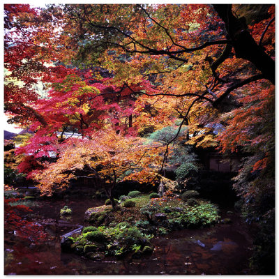 Ginkakuji Temple - 銀閣寺