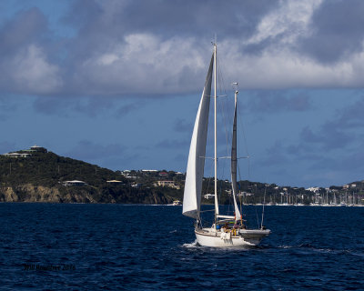5F1A4787 Sailboat.jpg