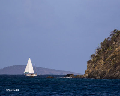 5F1A4925 Sailboat.jpg