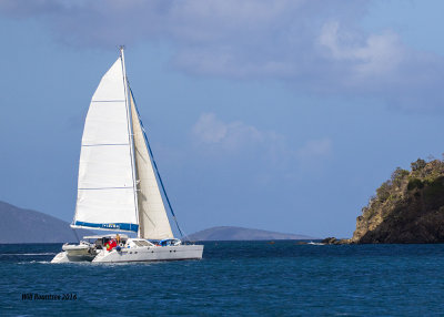 5F1A4932 Sailing Cat.jpg