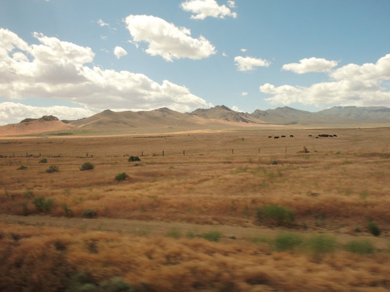 View from the Train