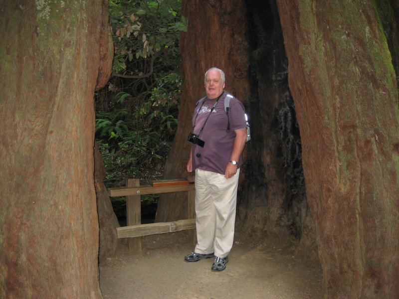 Muir Woods