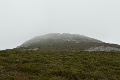 entrance notch