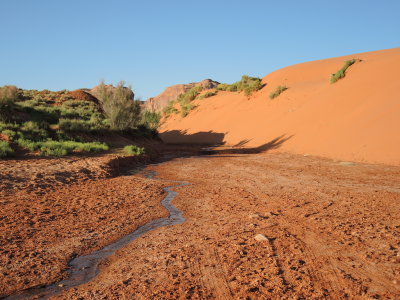 DSCN0563.JPG