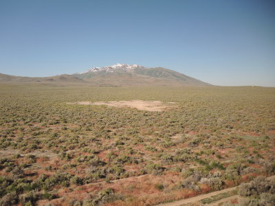 View from the Train