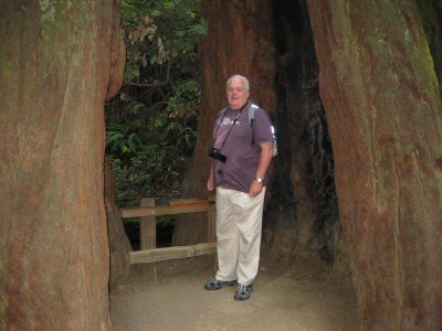 Muir Woods