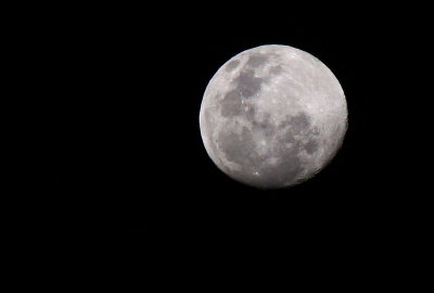 IMG_20039.jpg