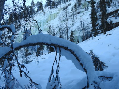 DSCN6219.jpg