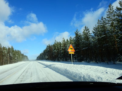 DSCN6259.jpg