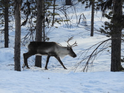 DSCN6594.jpg