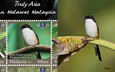 My photo was stolen and used in a Malaysian Stamp?