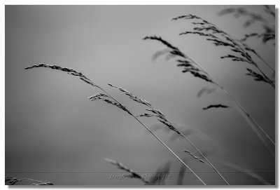 g9/41/399841/3/151706062.w1MgRpVf.jpg
