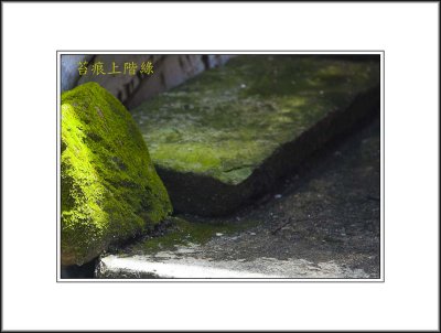 Stone Steps with Moss