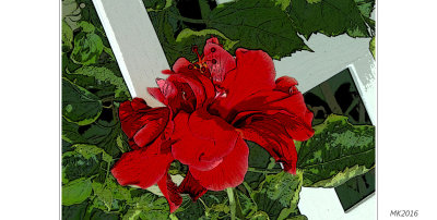 Flower and Fence