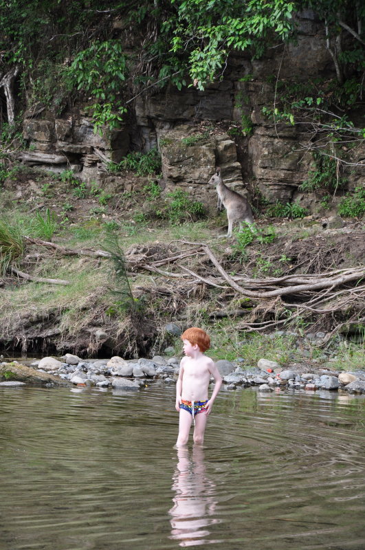 DSC_0113.JPG