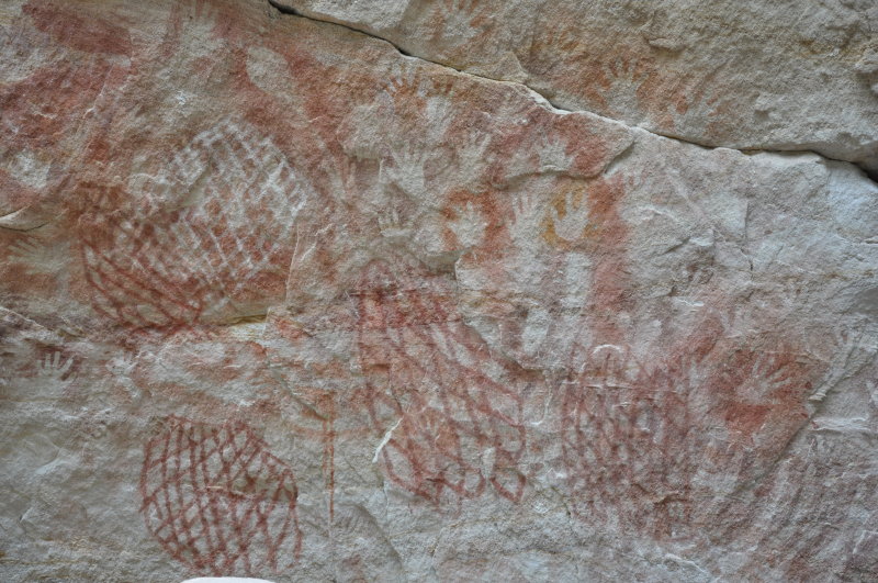 DSC_0204.JPG